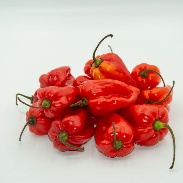 Hot Pepper Holland (pili pli red)  ±4Kg