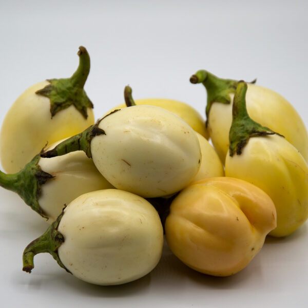 Aubergine (White) Uganda 8KG