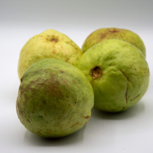 ar00072-guava-indian Guava Indian  ±5Kg