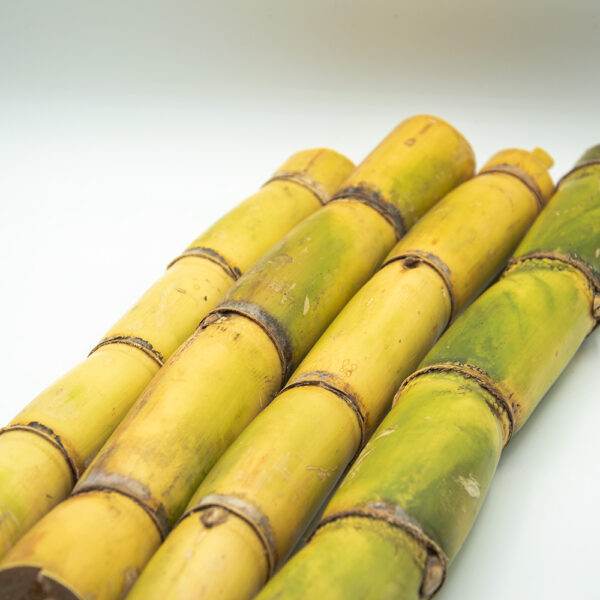 Sugar Cane Green Uganda 10KG